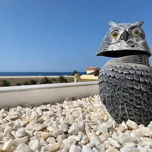 Vivienda Gorrion Morro Jable (Fuerteventura)